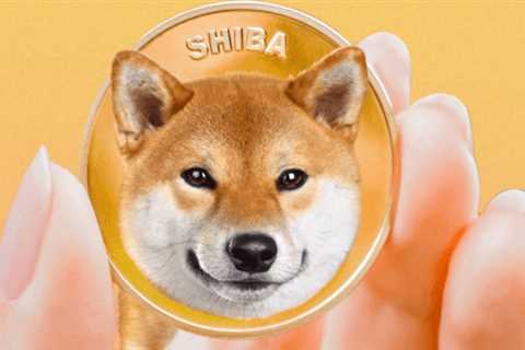 Whales increase their activity by accumulating Shiba Inu (SHIB) and Gnox Token (GNOX)