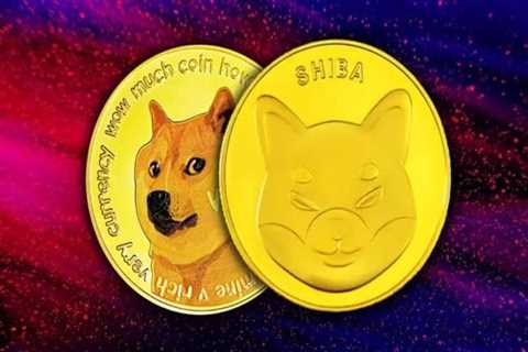 Dogecoin and Shiba Inu are the latest additions to Binance’s liquidity pools