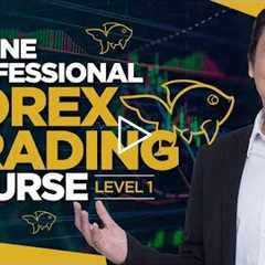 Professional Forex Trading Course Lesson 1 By Adam Khoo