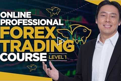 Professional Forex Trading Course Lesson 1 By Adam Khoo