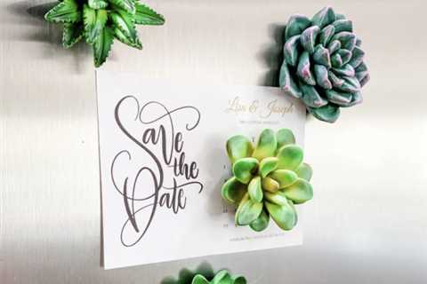 Mini Succulent Resin Magnets, Set of 4 for simply $12.99 shipped!