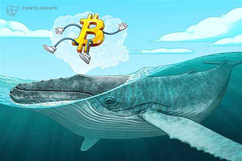 Bitcoin whales send BTC to futures exchanges in “classic” bottom signal