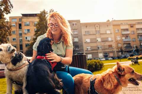 These Canine Walkers Are Making Financial institution. Right here’s How You Can Do It, Too