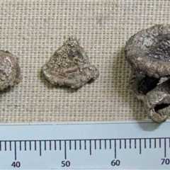 3,600-year-old Silver Pieces Confirmed As First Money Used in the Levant