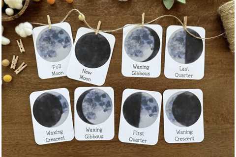 Free Printable Moon Phases Playing cards