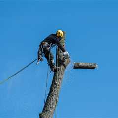 Correcting Common Tree Pruning Mistakes