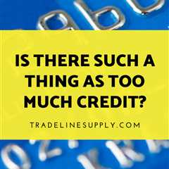 Is There Such a Thing as Too Much Credit?
