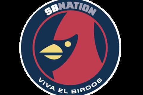 infinitysolution Profile and Activity - Viva El Birdos