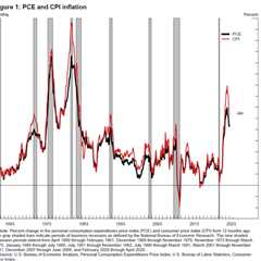 Least Geeky Explanation Ever of Differences Between CPI and PCE Price Index which the Fed Uses as..