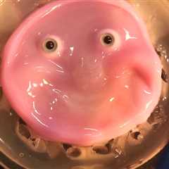 Researchers craft smiling robotic face from dwelling human pores and skin cells