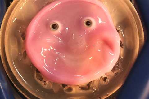 Researchers craft smiling robotic face from dwelling human pores and skin cells