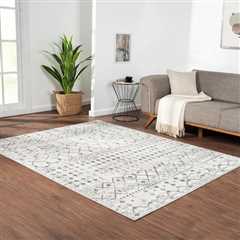 Enormous Financial savings on Space Rugs at Wayfair + Free Delivery! (Two Gross sales!)