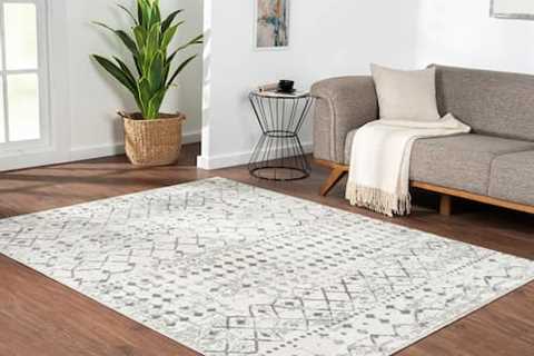 Enormous Financial savings on Space Rugs at Wayfair + Free Delivery! (Two Gross sales!)