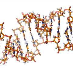 In Vivo Cell Therapy Boosts AbbVie’s $2.1B Immunology Pipeline