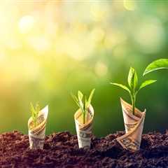 Sprouts Farmers Market Stock: A Performance Overview