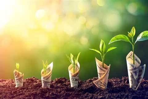 Sprouts Farmers Market Stock: A Performance Overview