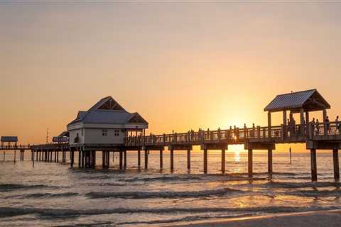 Understanding the Role of a Registered Agent for Business Entities in Clearwater, Florida